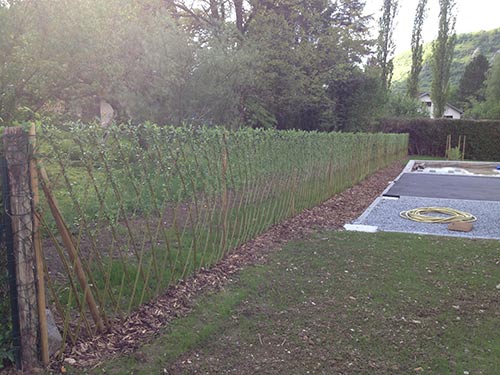 plantation à Besançon